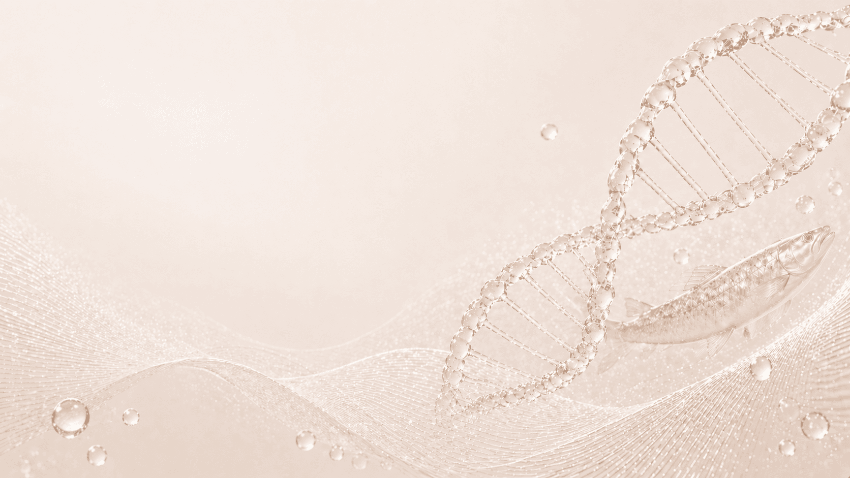 REVS Prime Pro ADN Background
